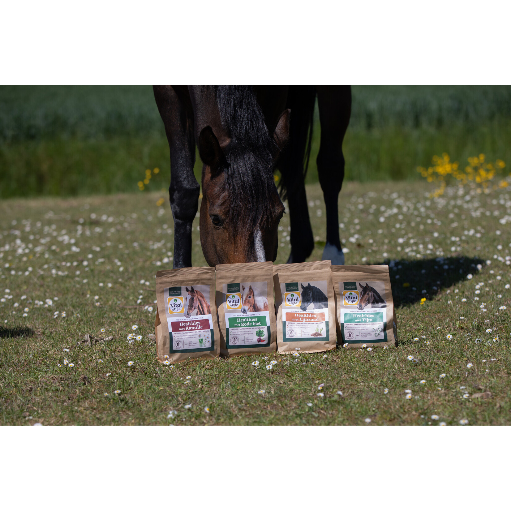 VITALstyle Healthies met Kamille 1 kg