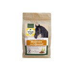 VITALstyle Healthies met Lijnzaad 1 kg