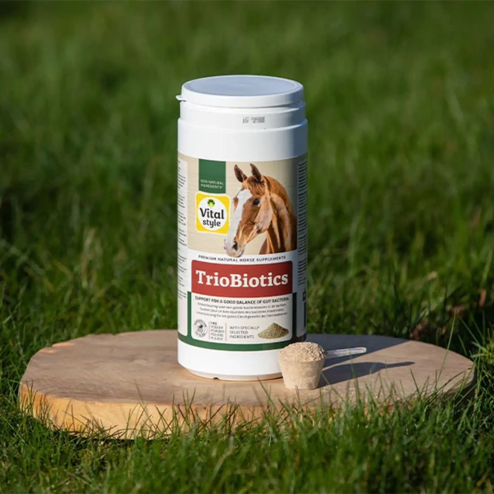VITALstyle TrioBiotics 1 kg