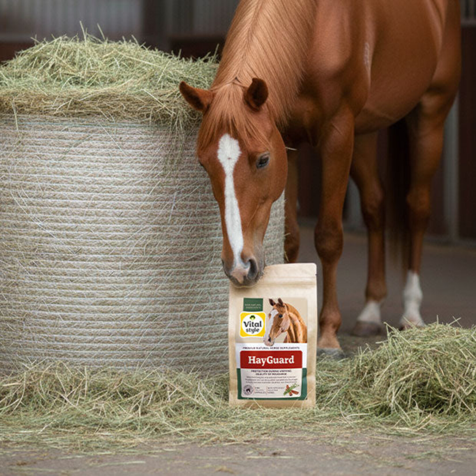 VITALstyle HayGuard 3 kg