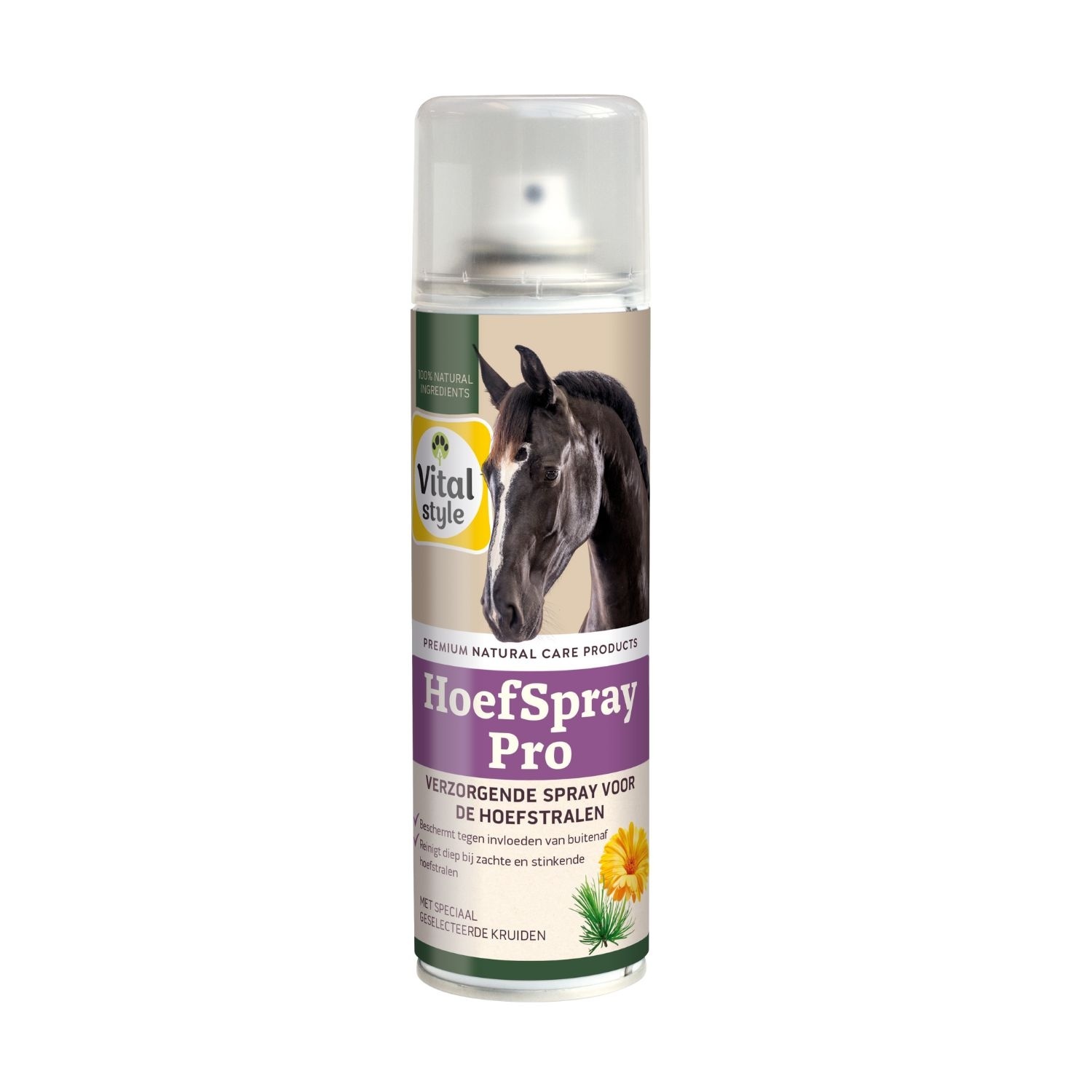 Eerste hulp voor paarden met kracht uit de natuur
