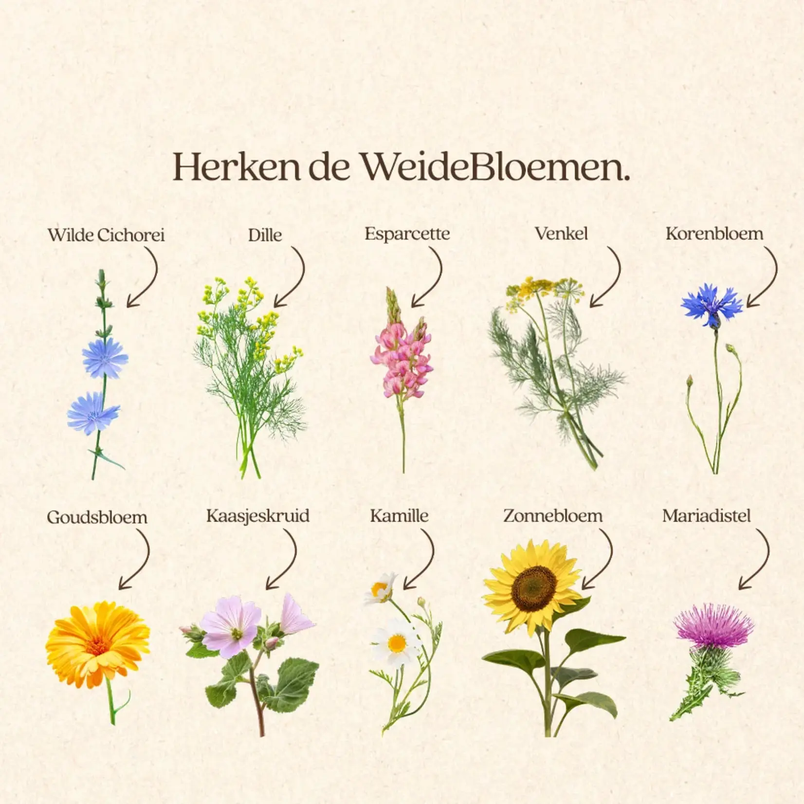 VITALstyle WeideBloemen 500 gram