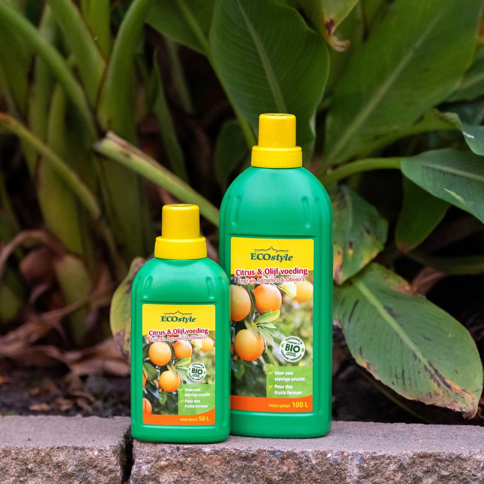 ECOstyle Citrus & Olijf voeding 1000 ml