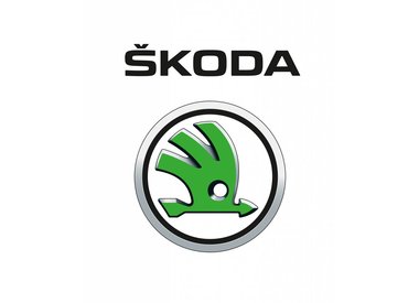 Katalysator Skoda