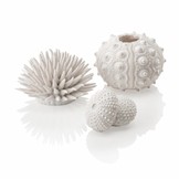 Zee-egel decoratieset urchin wit