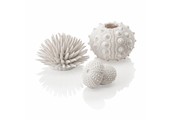 Zee-egel decoratieset urchin wit
