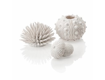 Zee-egel decoratieset urchin wit