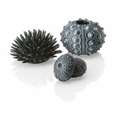 Zee-egel decoratieset urchin zwart