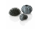Zee-egel decoratieset urchin zwart