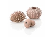 Zee-egel decoratieset urchin naturel