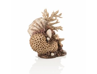 Koraal & Schelpen Naturel ornament