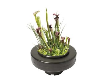 Floating Plant Basket - 30cm rond