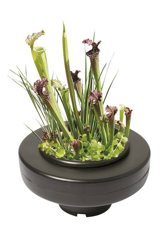 Floating Plant Basket - 30cm rond