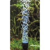 Bubble Air Spot Moon