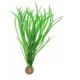 Easy plants hoog 30 cm NR.4