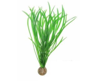 Easy plants hoog 30 cm NR.4