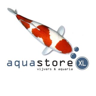 AquastoreXL Koi