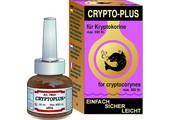 Crypto Plus
