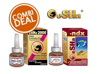 2000 en -Ndx - Bundel