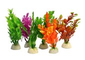 Aqua plants small