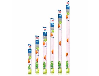 Multilux LED Buis Colour