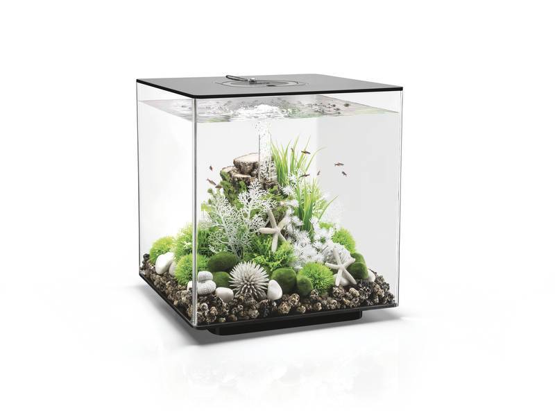 Cube 60 LED Zwart