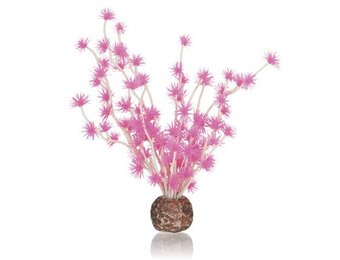 Bonsai bal Roze