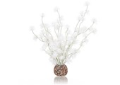 Bonsai bal Wit