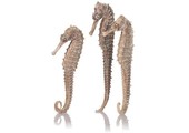 Zeepaardjes Naturel - Set van 3