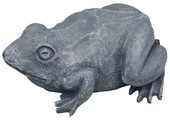 Spuitfiguur Kikker