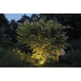 LunAqua Power LED wit