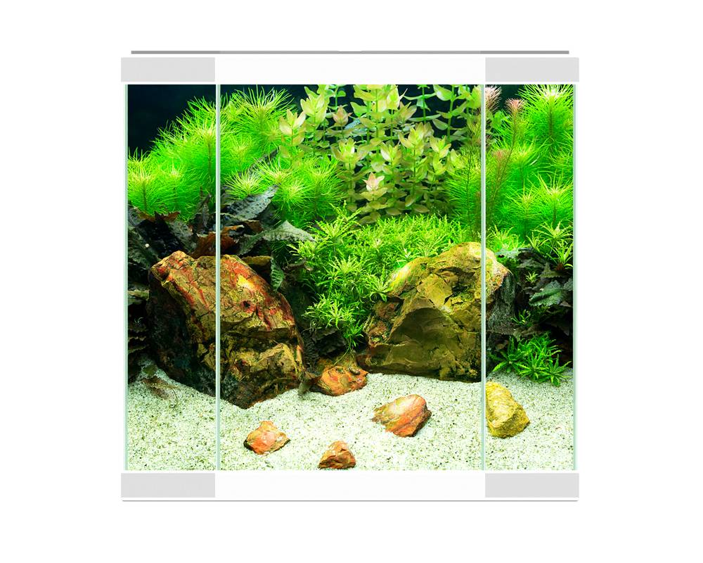 Aqua 30 LED