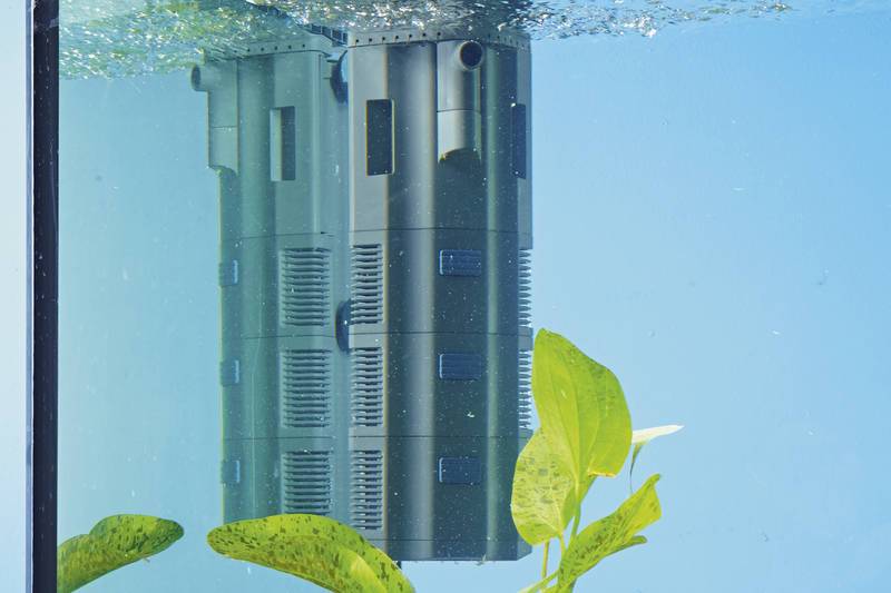 BioPlus 200