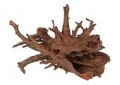 Corbo-Root M 30-40cm