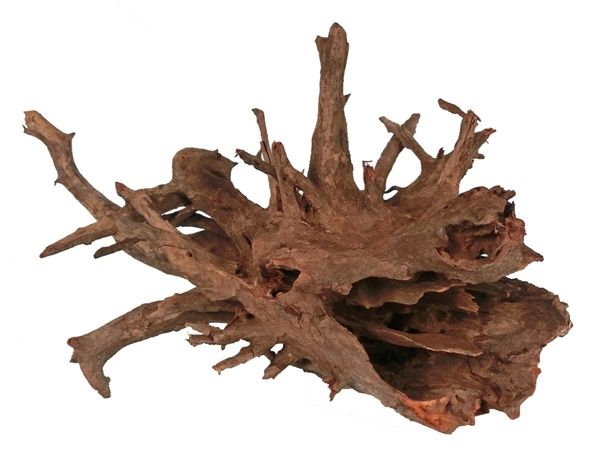 Corbo-Root S 20-30cm