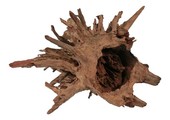 Corbo-Root L 40-60cm