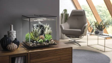 Cube 60 LED Zwart