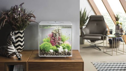 Cube 60 LED Zwart