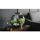 Classic 105 MCR Zwart