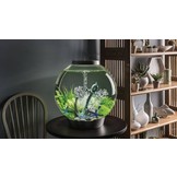 Classic 15 MCR Zwart