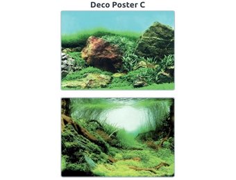 Deco poster C