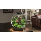 Classic 15 LED Zwart