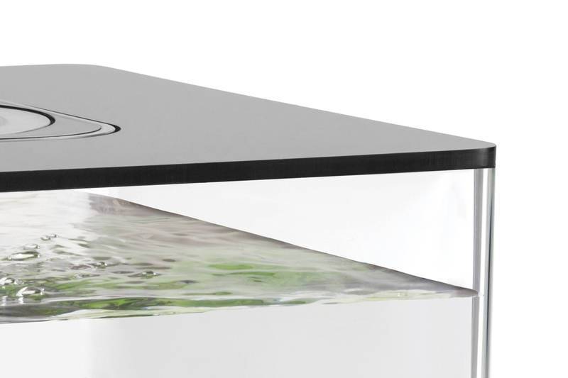 Cube 30 LED Clear