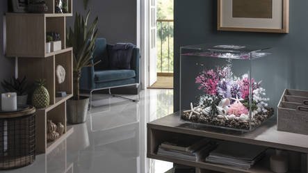 Cube 30 LED Clear