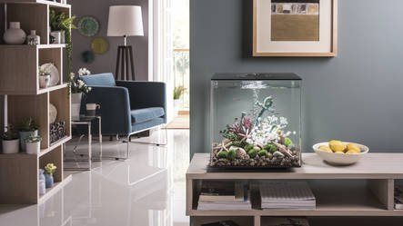 Cube 30 LED Clear