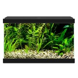Aqua 20 LED Zwart