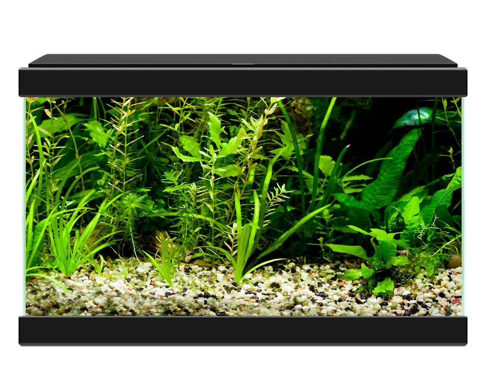 Aqua 20 LED Zwart