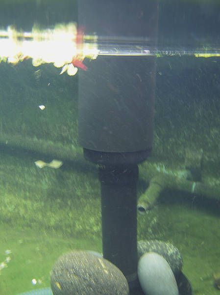 AquaSkim 20 Oppervlakafzuiger