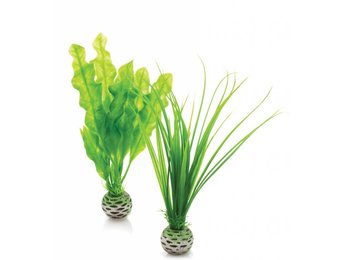 Easy plants 2x small groen