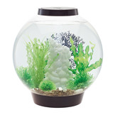 Classic 30 LED Zwart